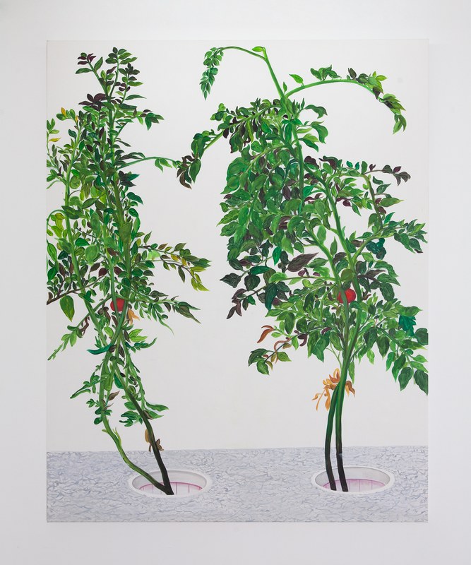 Alex Fischer, Vii 陈山 Chen Shan, 2015-02-26